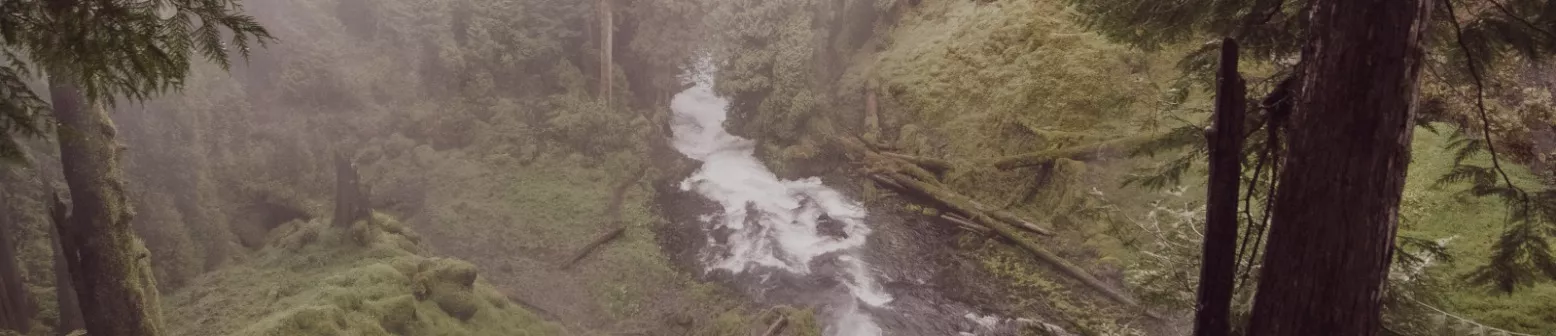 Aerial view of the white, rushing waters of a waterfall and the forest surrounding