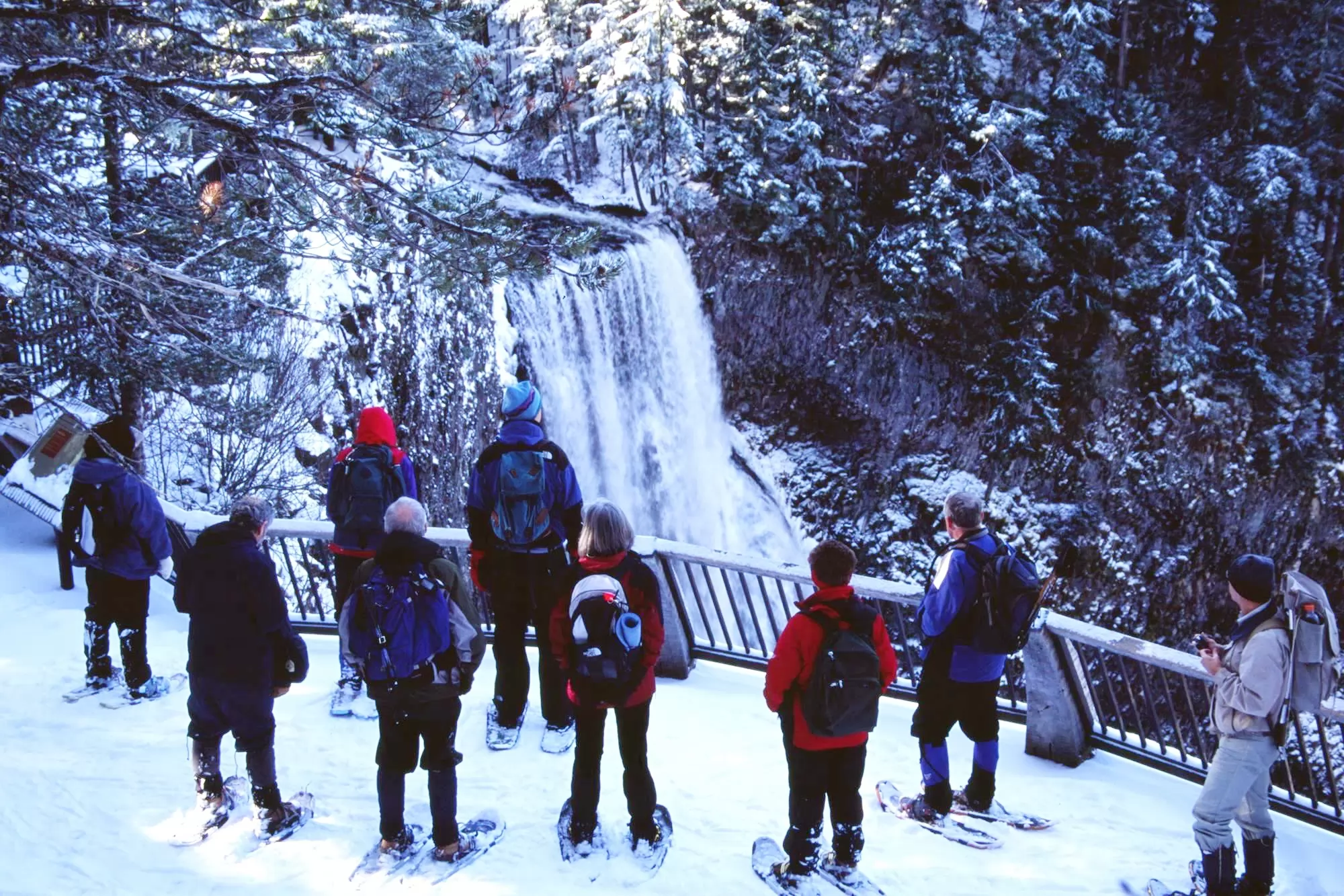 A group of people standing in snowshoes looking at a waterfall in winter