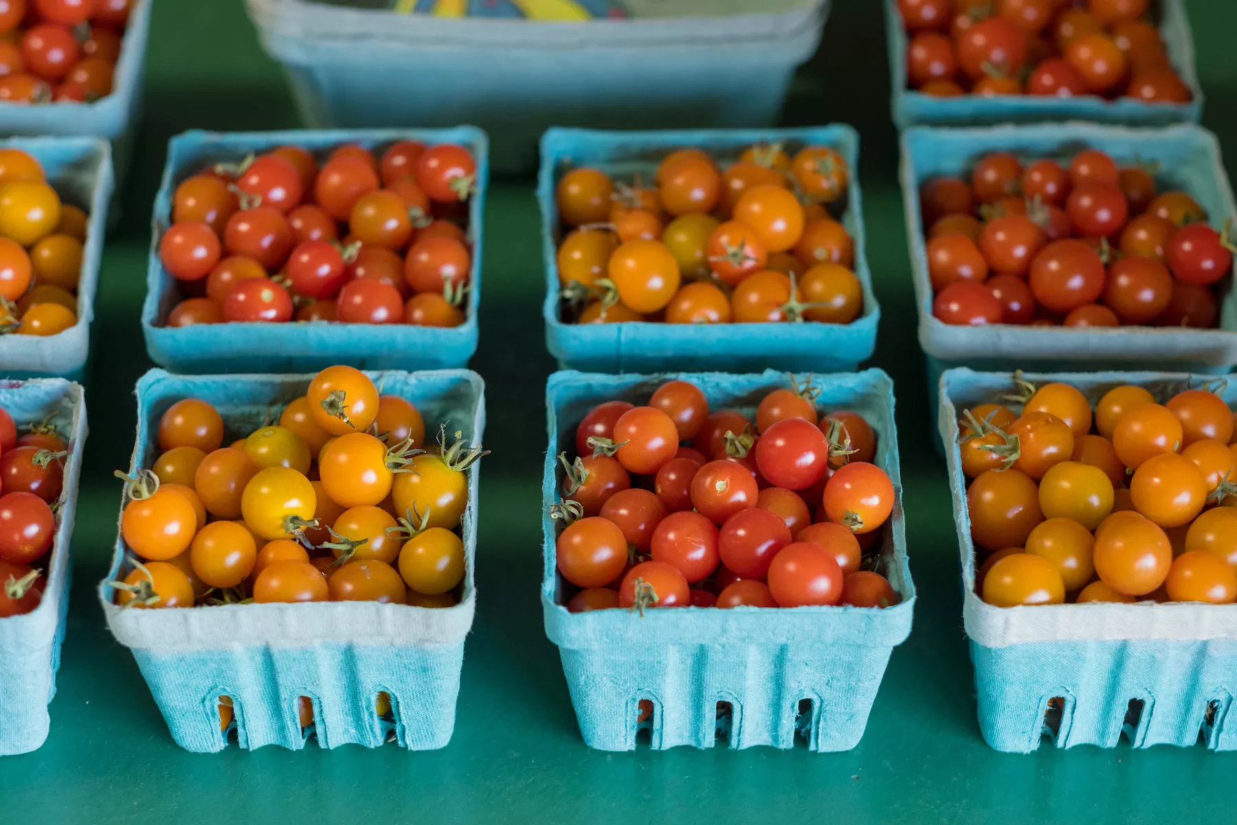 Pints of cherry tomatoes for sale at a market.