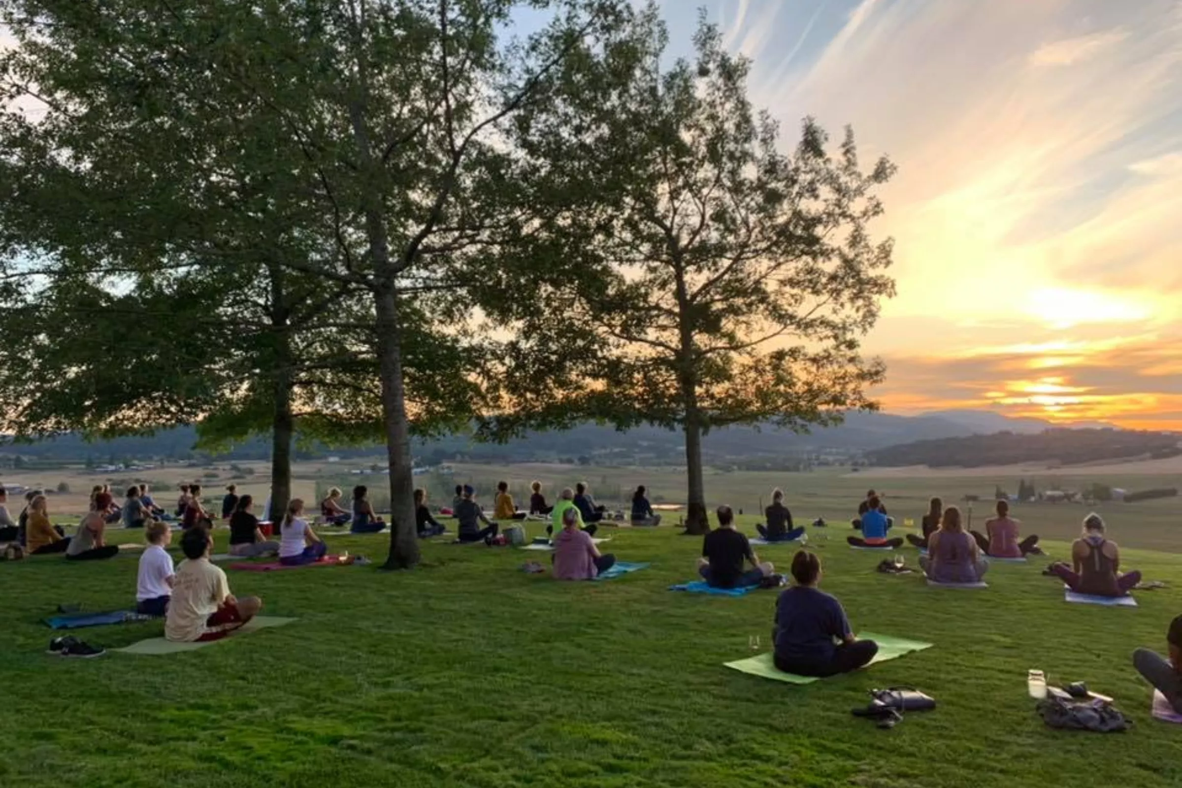 People gather outside for yoga amongst the trees at dusk