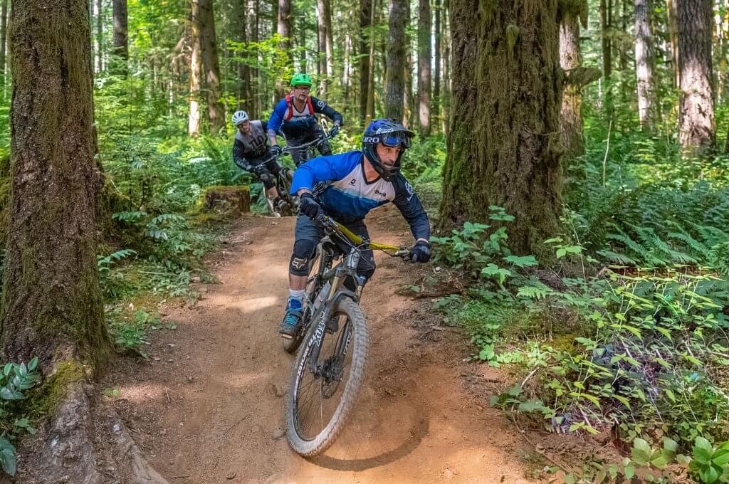 Alsea falls mountain online biking