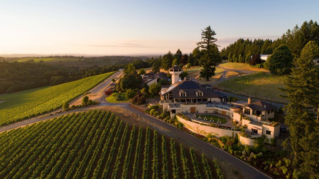 Aerial view over Willamette Valley Vineyards during sunset. 